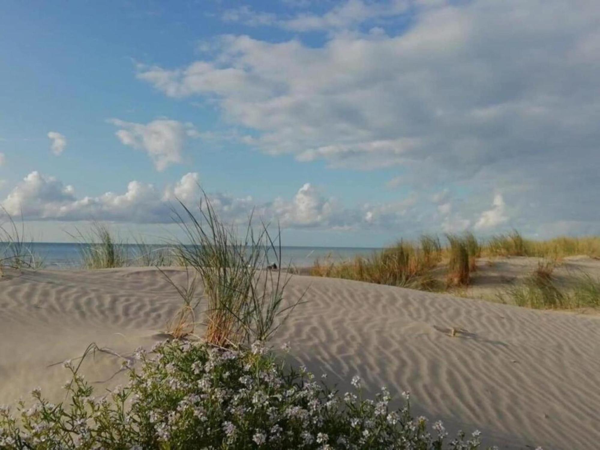 Beautiful Holiday Home With Pool Quend Zewnętrze zdjęcie